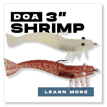 DOA 3" Shrimp fishing Lures