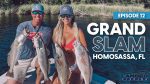 Homosassa Inshore Fishing