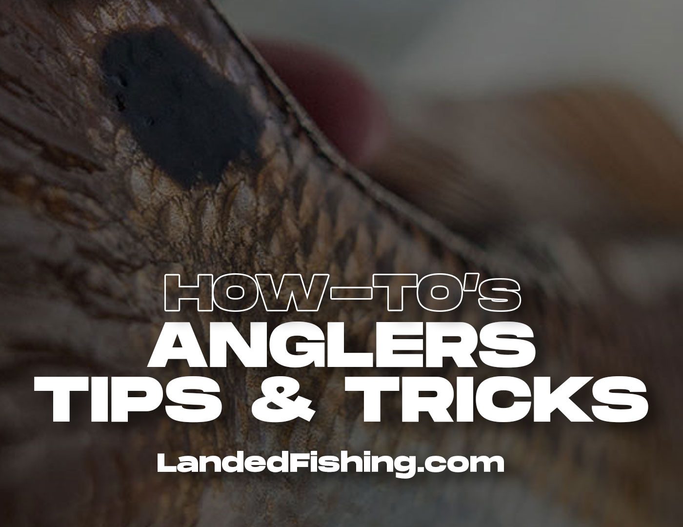 how to videos fishing anglers resources
