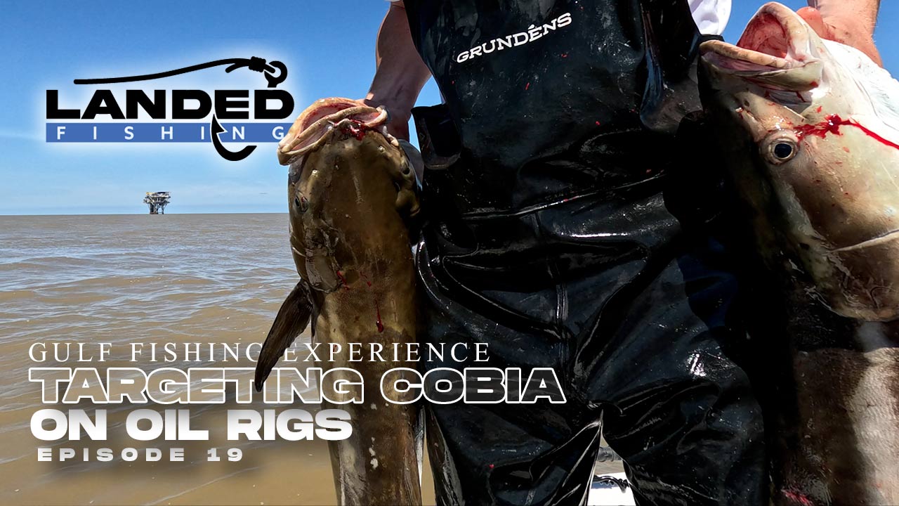 Gulf Fishing Experience Catching Cobia on Oil Rigs