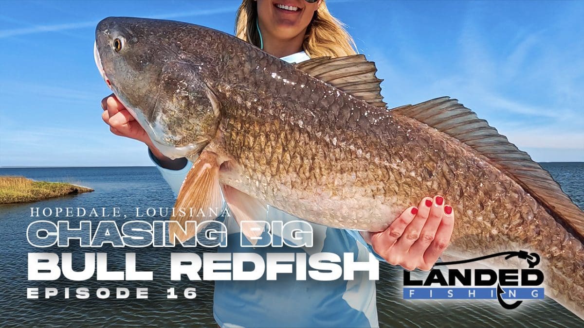 Chasing Bull Redfish Hopedale en Louisiane