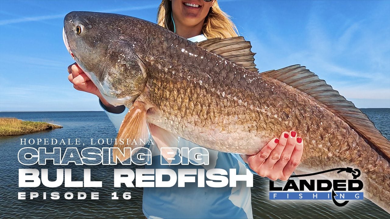 Chasing Big Bull Redfish in Hopedale Louisiana