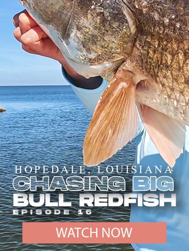 Chasing Big Bull Redfish in Hopedale Louisiana | Landed Fishing TV