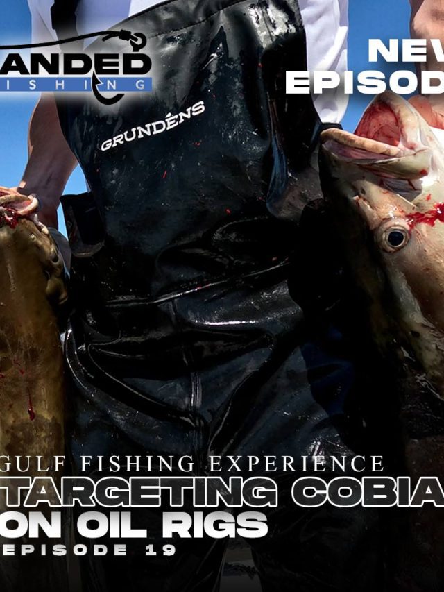 Catching Cobia: Gulf of Mexico Oil Rigs