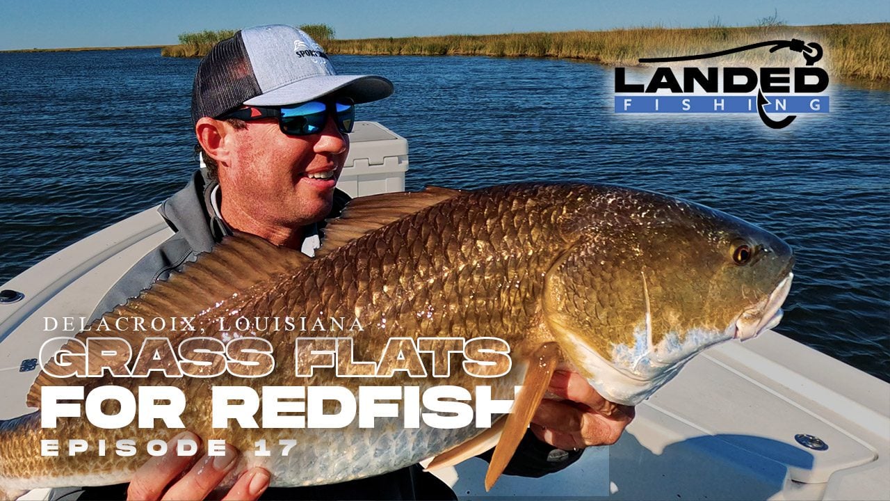 Fishing for Redfish in Shallow Water Grass Flats