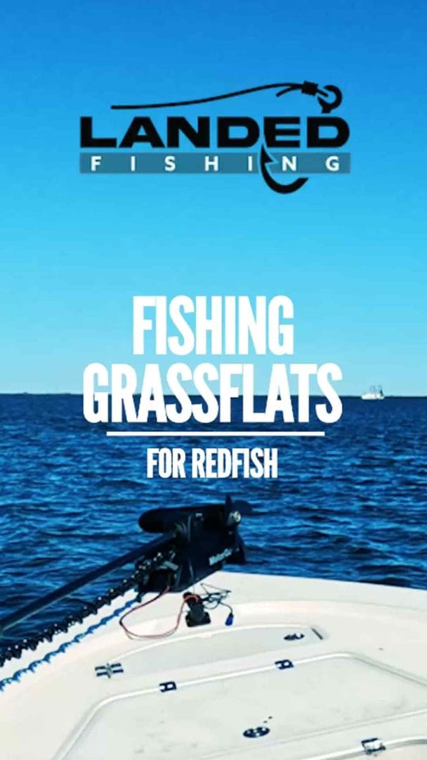 Redfish Fishing on Grass Flats