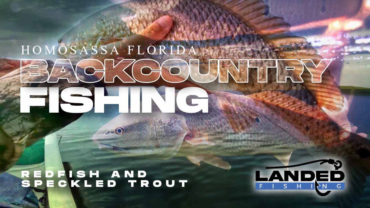 Web en miniatura de pesca fuera de pista de Homosassa, Florida