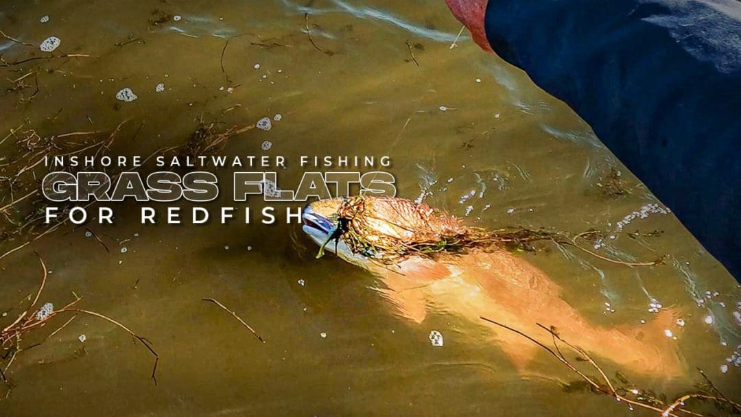 Inshore Saltwater Fishing Grass Flats para sa Redfish