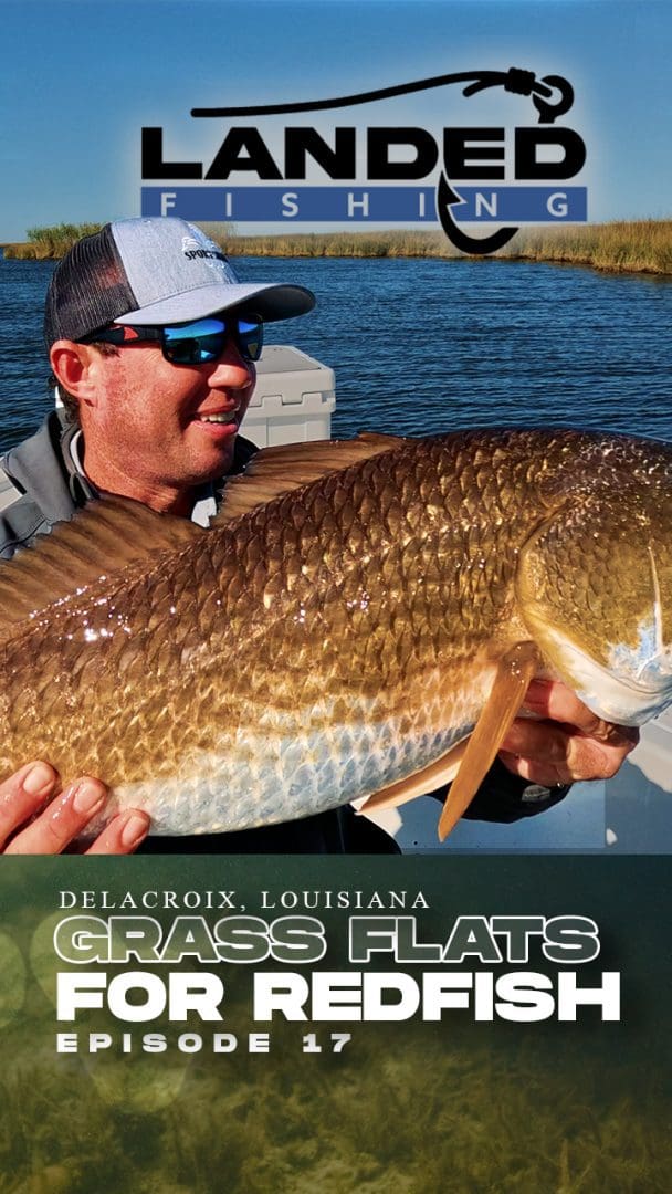 Fishing Grass Flats for Redfish