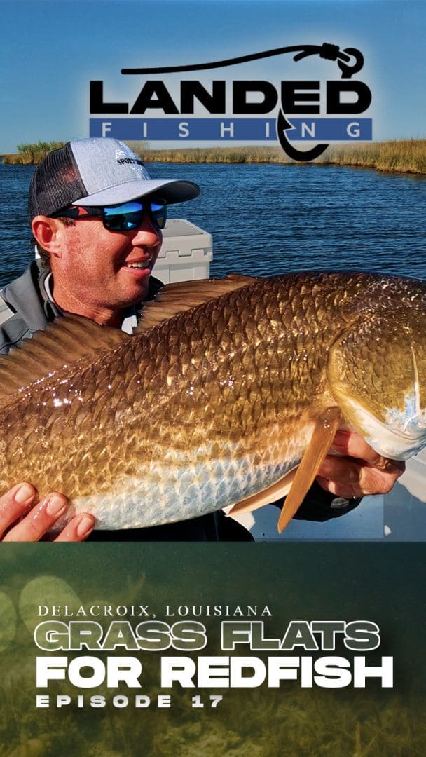Fishing Grass Flats for Redfish