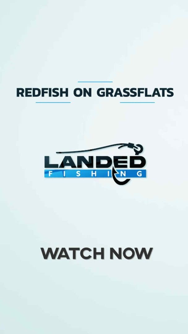 Fishing for Redfish on Grass Flats
