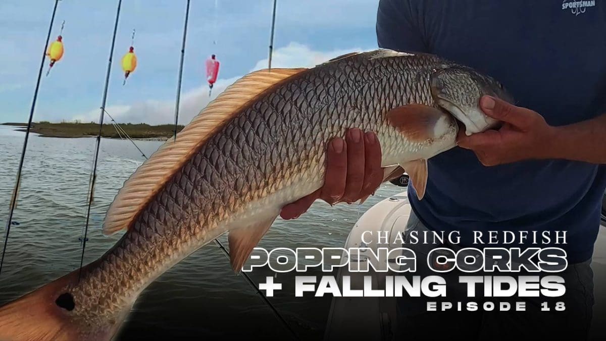 Catch More Redfish: Popping Corks on Falling Tide