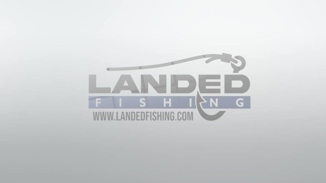 Landed Fishing Video