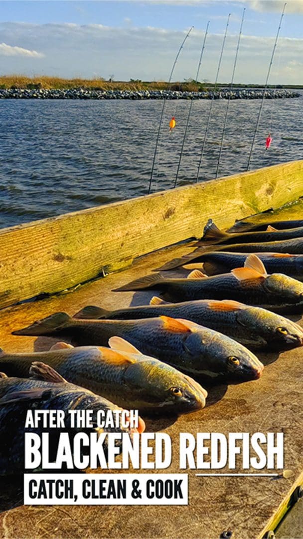 Cooking Blackened Redfish