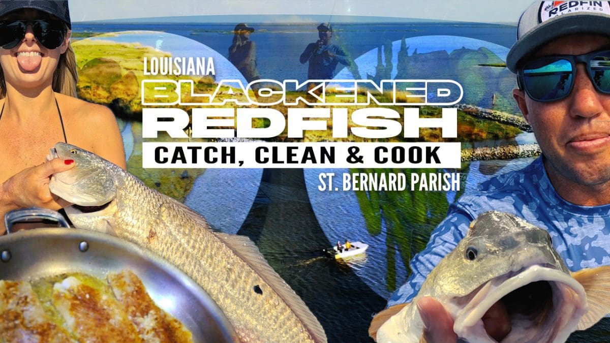 Blackened Redfish Recipe: Catch Clean Cook