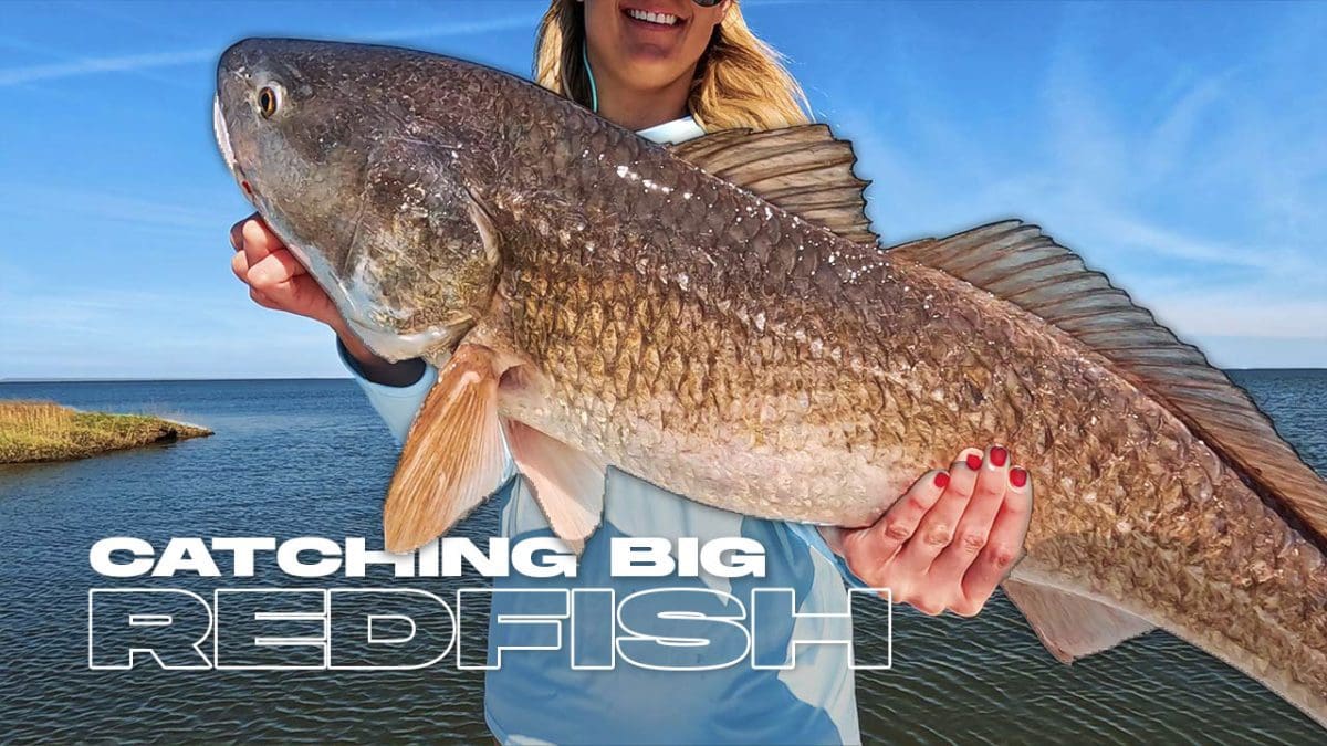 catching big redfish