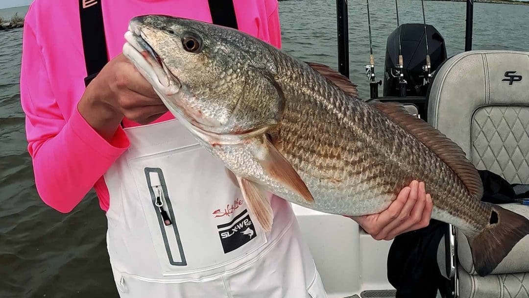 レッドフィッシュを捕まえる 桟橋での釣り メキシコ湾岸での釣り