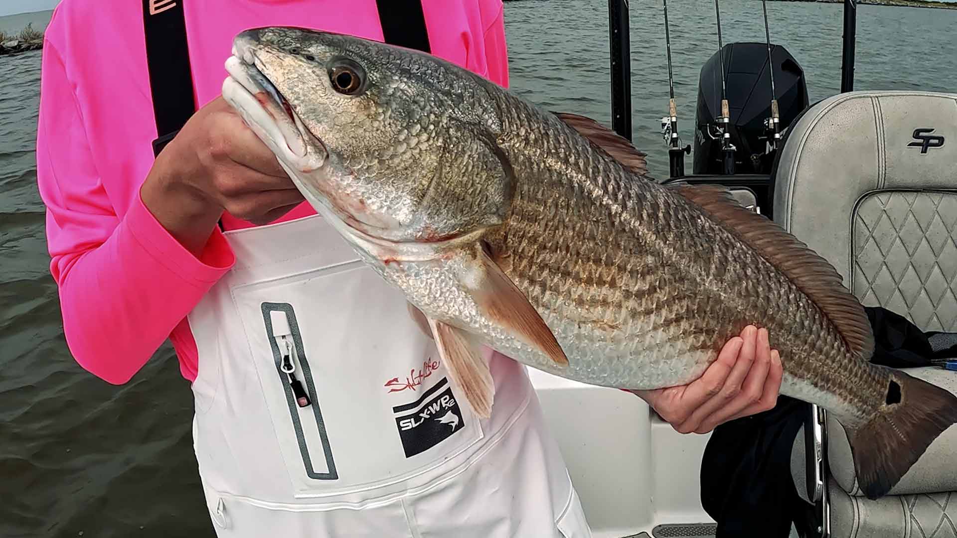 Gulf Coast Jetty Fishing For Saltwater Fish Landed Fishing