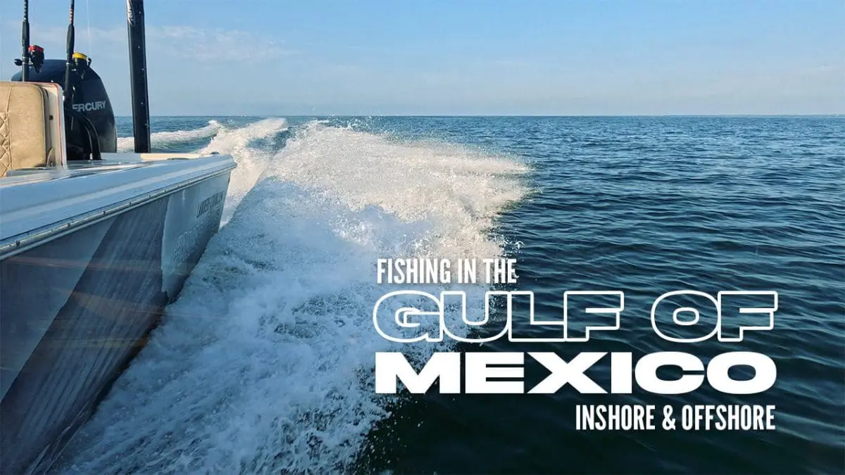 Angeln im Golf von Mexiko