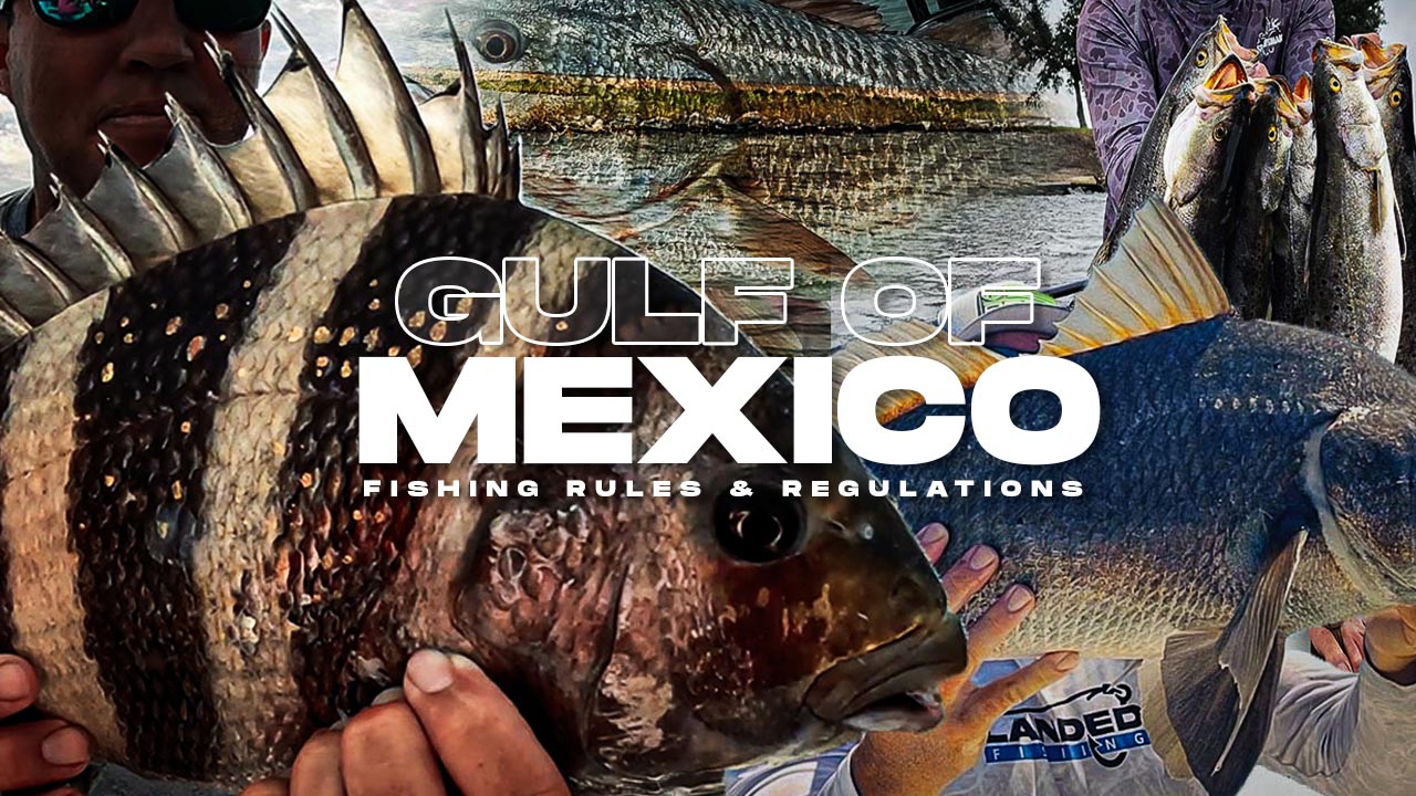 Fishing The Gulf Of Mexico: Rules And Regulations For A Successful