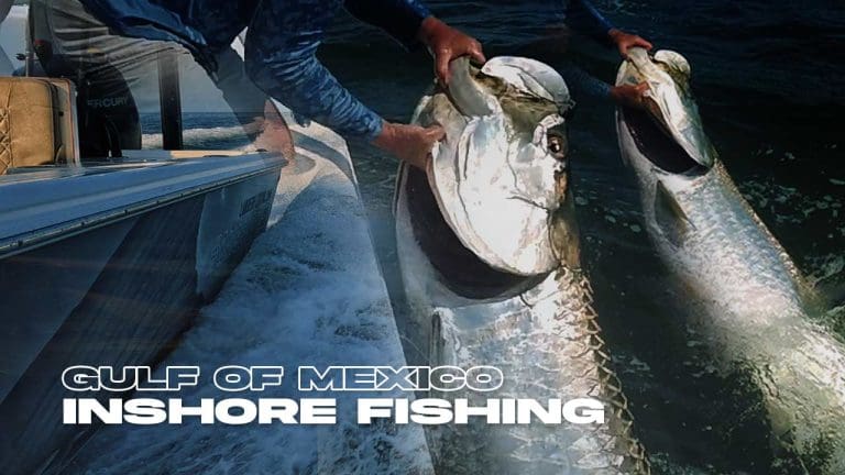 Pesca costeira de água salgada no Golfo do México