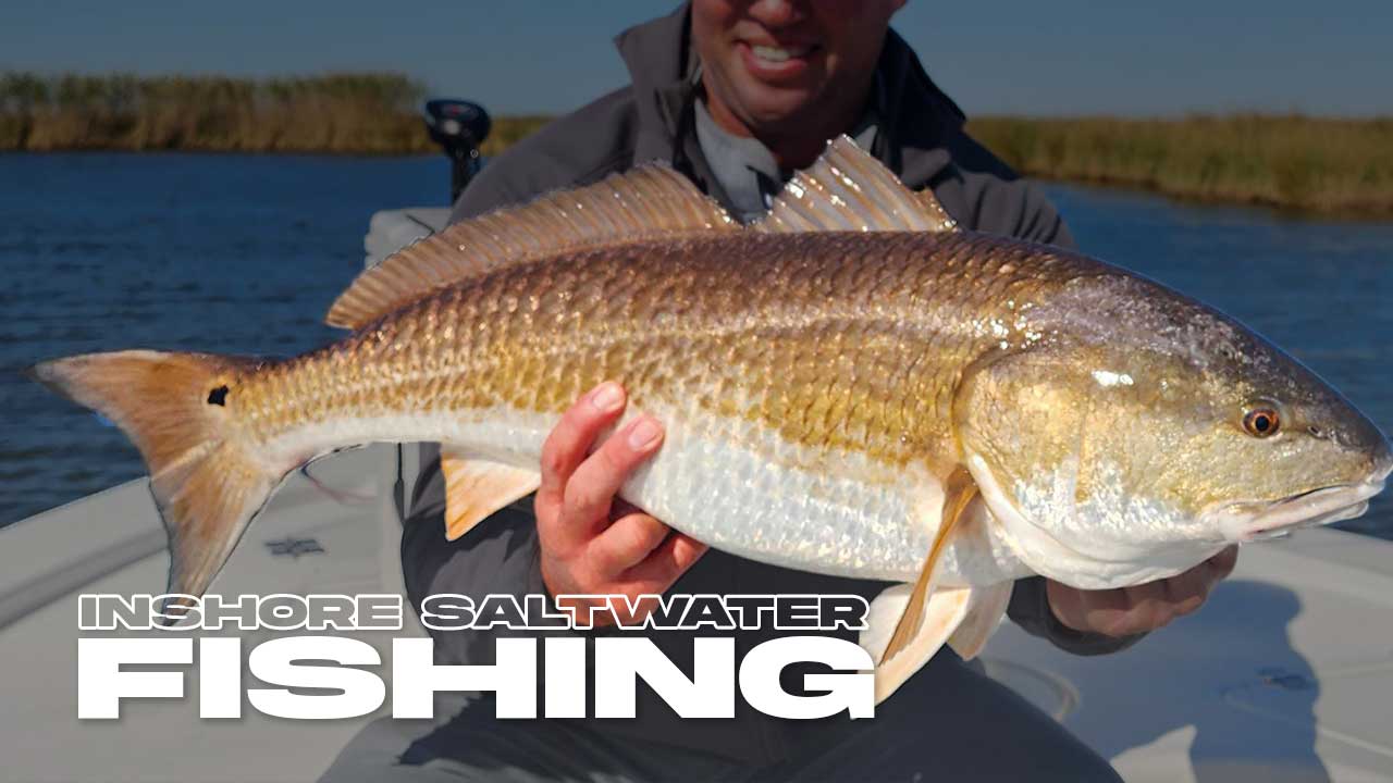 Everything You Need To Bring On Your Inshore Saltwater Fishing