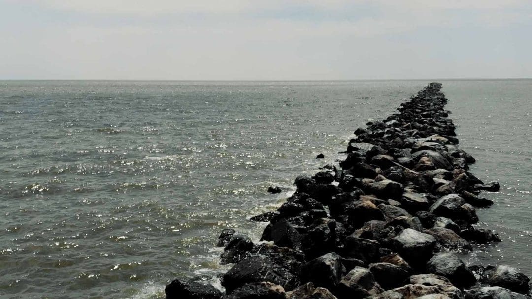 Pesca en embarcadero a lo largo de la costa del golfo.