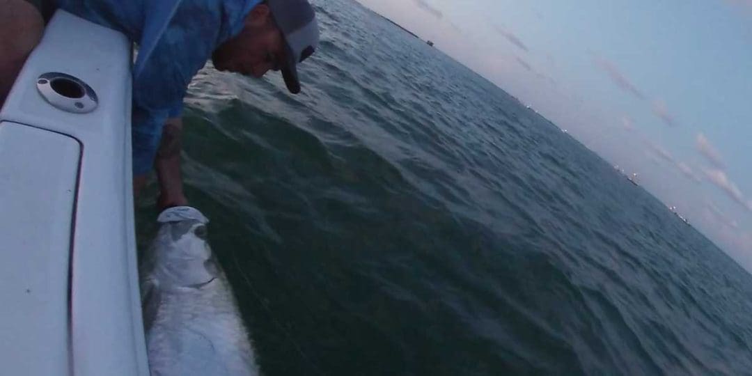 pêche au tarpon débarqué à Boca Grande