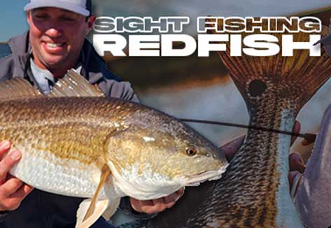 Sight Fishing Tips for Redfish