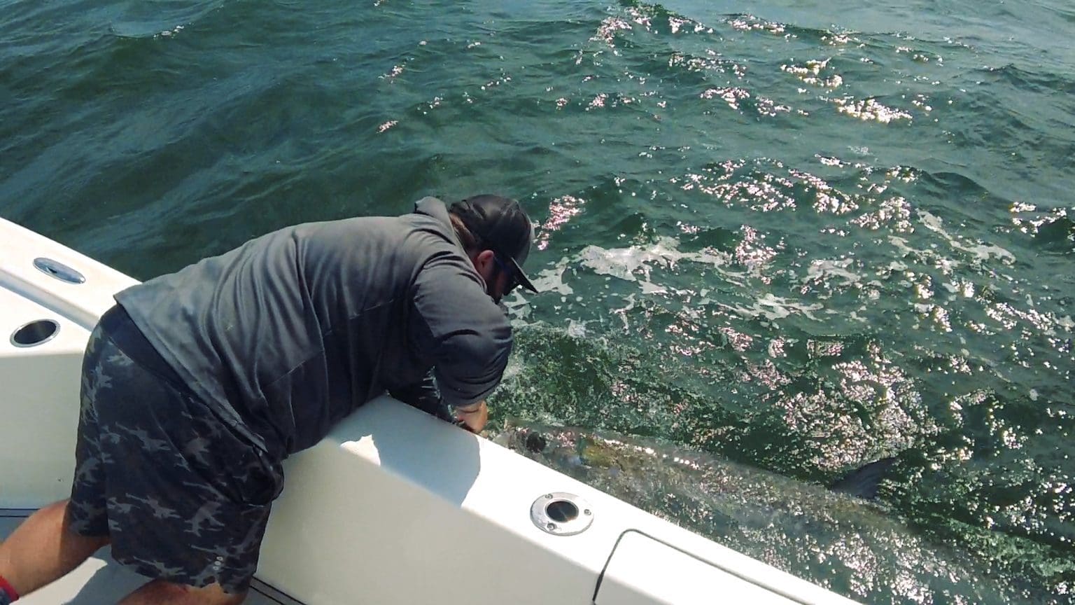 Hooked On Tarpon: Fishing Guide To Catching Giants!