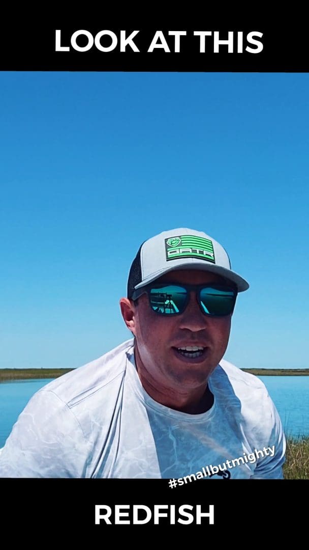 the-little-redfish-that-could_sm-poster