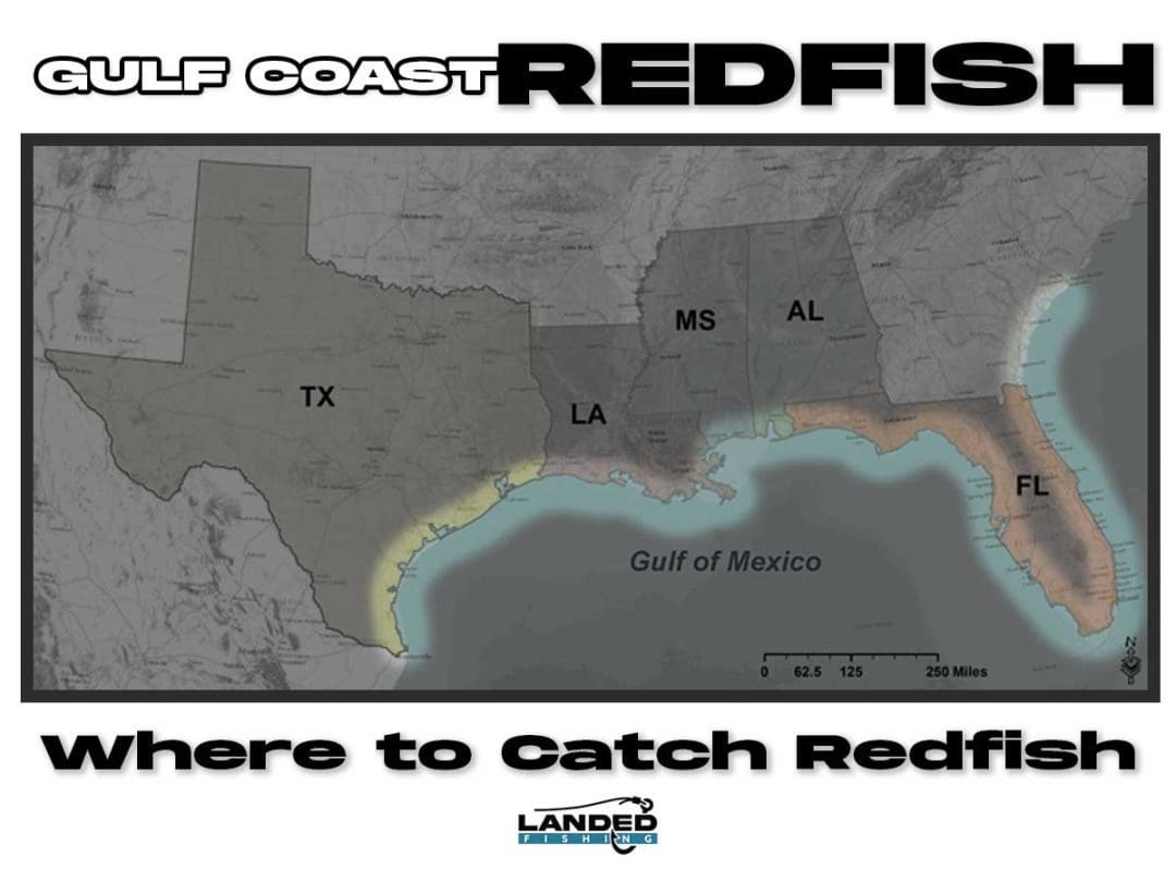 Where to catch redfish
