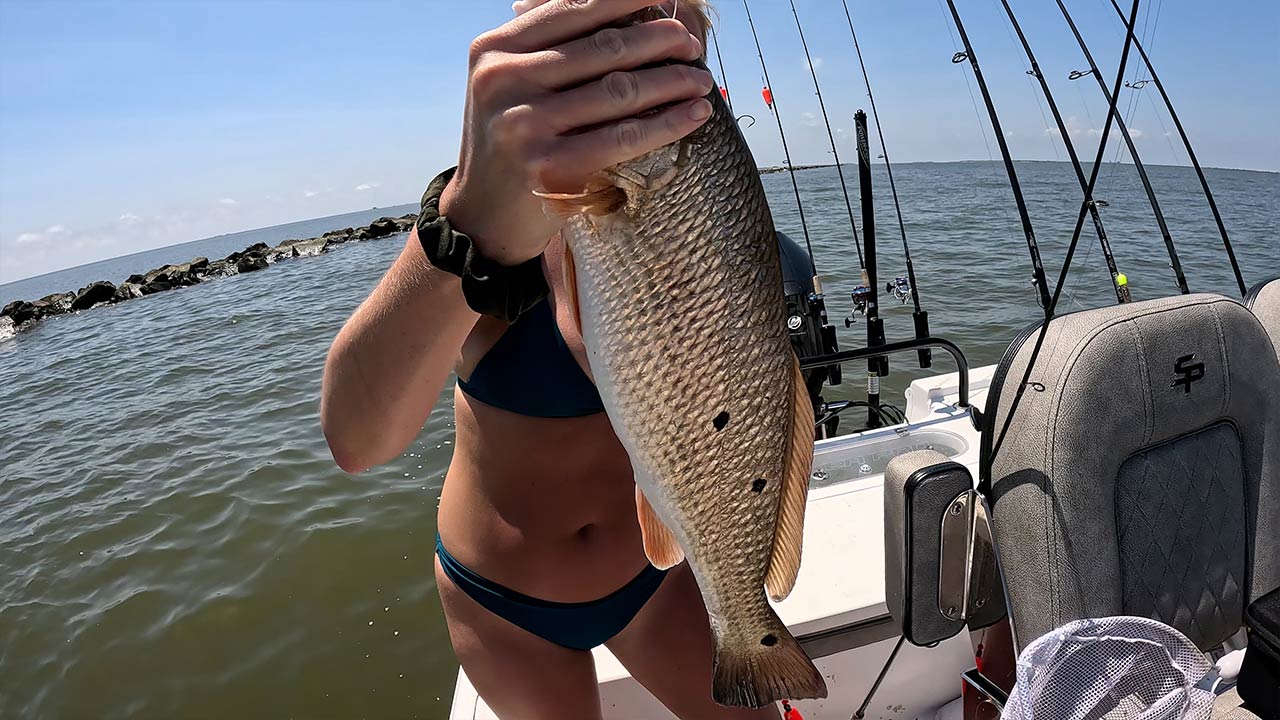 3 Spot Redfish capturados no Golfo do México