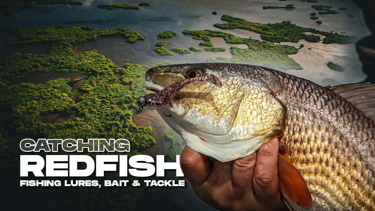 catching redfish fishing lures bait tackle tips