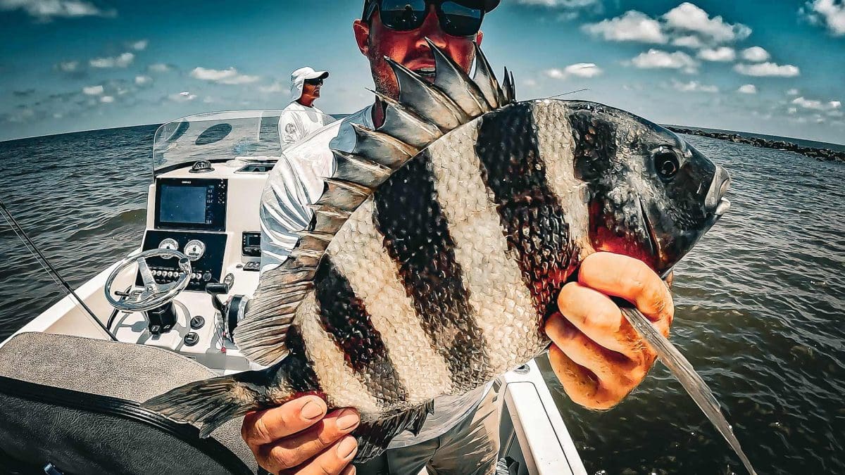 Pêche Tampa Bay Sheepshead Speckled Trout EP 3