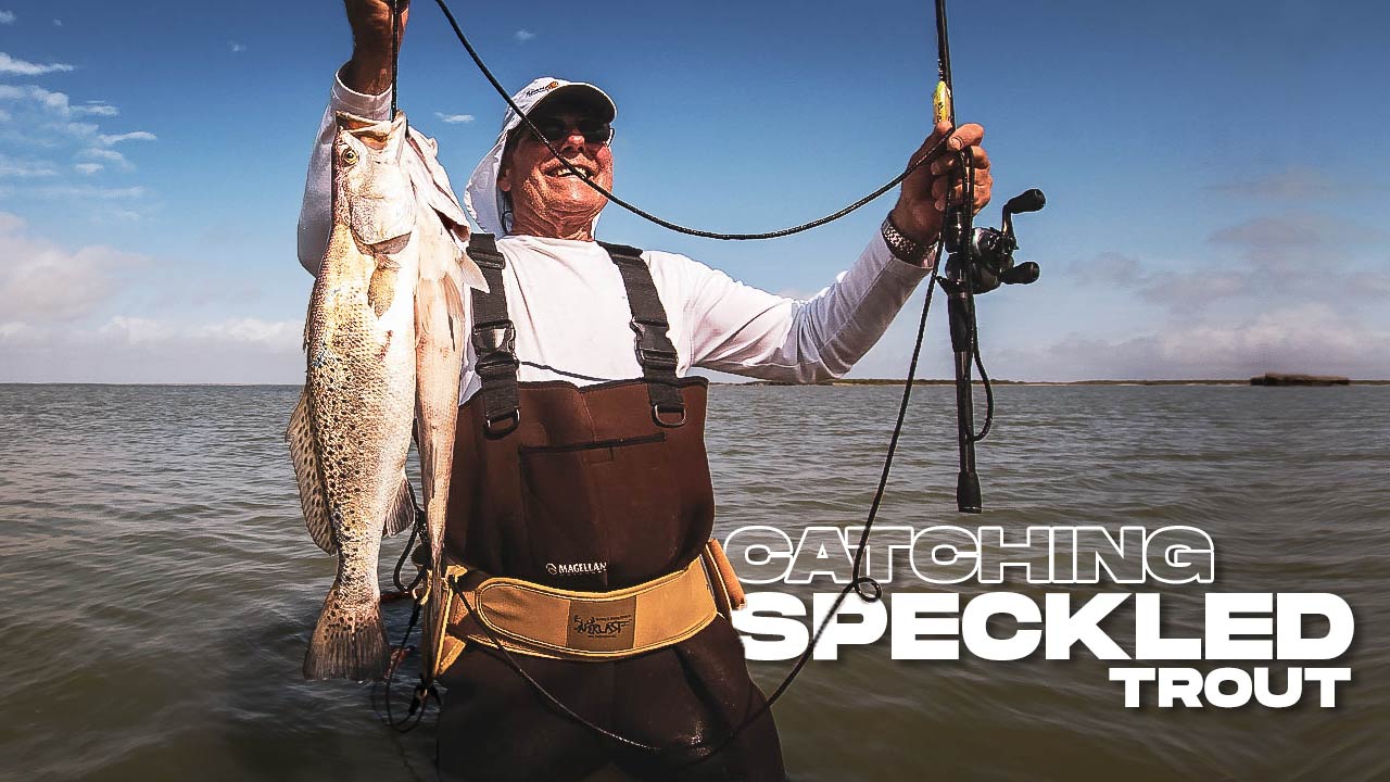 How To Catch Speckled Trout In The Gulf Tips And Techniques