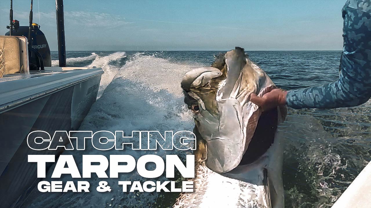 catching tarpon gear and tackle