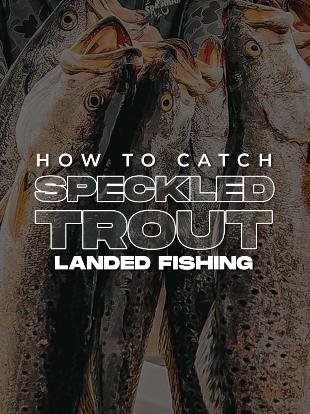 How To Catch Speckled Trout | Inshore Saltwater Fishing