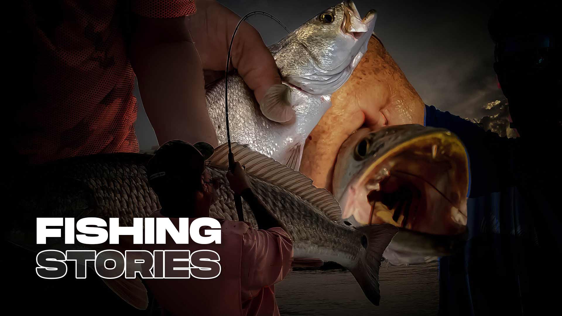 histoires de pêche pêche débarquée 2