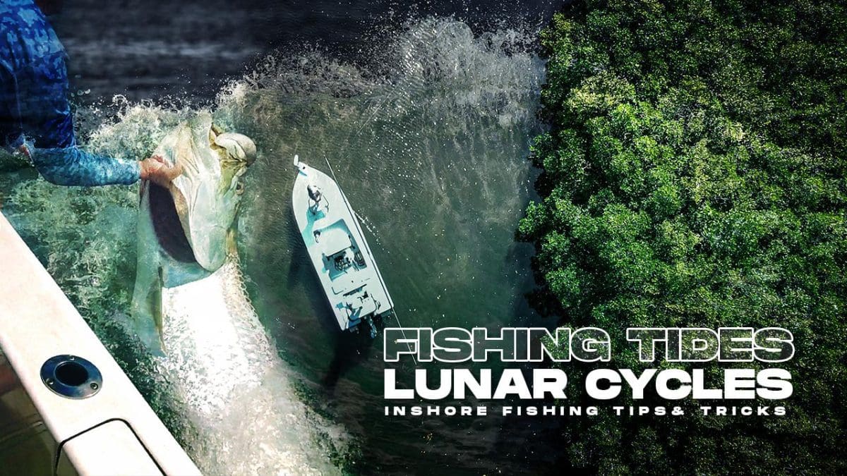 Fishing Tides & Lunar Cycles Landed Fishing