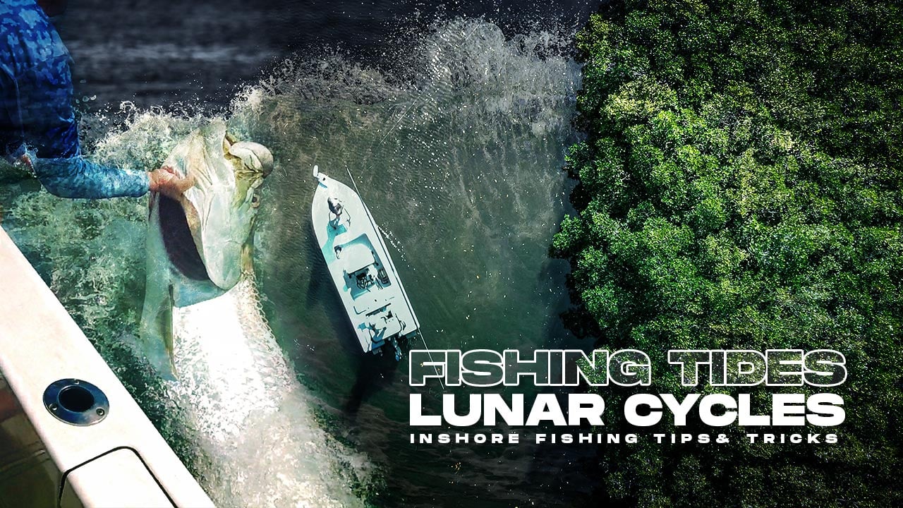 fishing tides lunar cycles inshore fishing