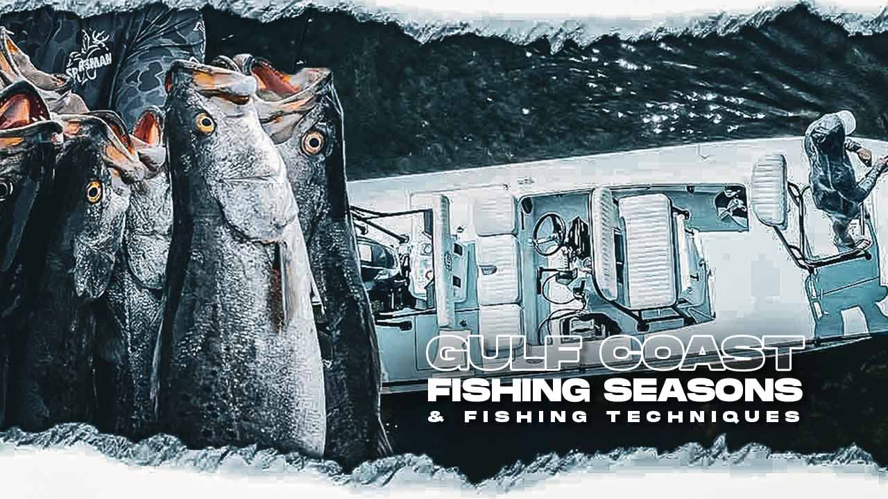 Gulf Coast Fishing Seasons and Techniques