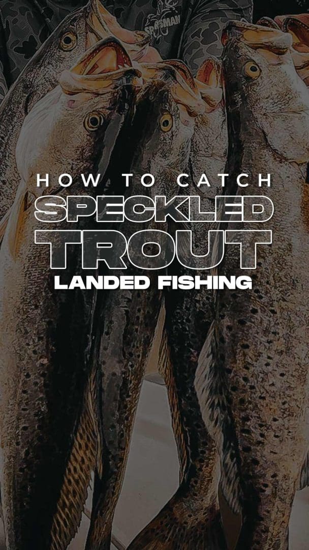 How to Catch Speckled Trout