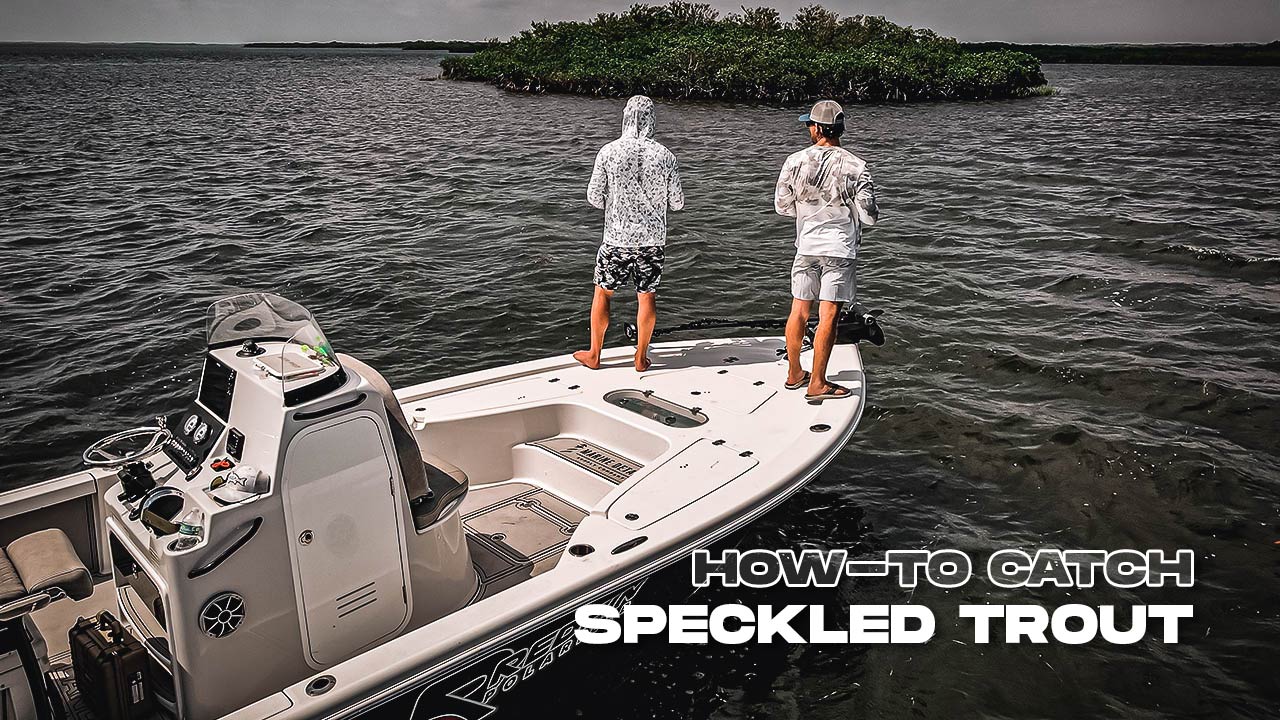 how to catch speckled trout gulf coast sea trout fishing