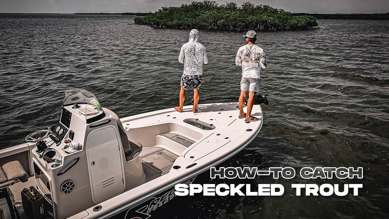 paano mahuli ang batik-batik na trout gulf coast sea trout fishing