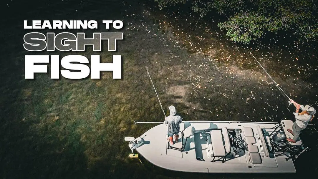 Learning to Sight Fish Inshore Saltwater Fishing