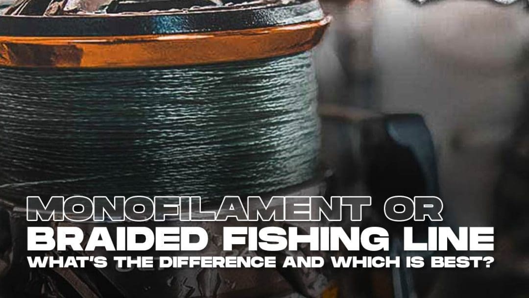 monofilament or braided fishing line which is best