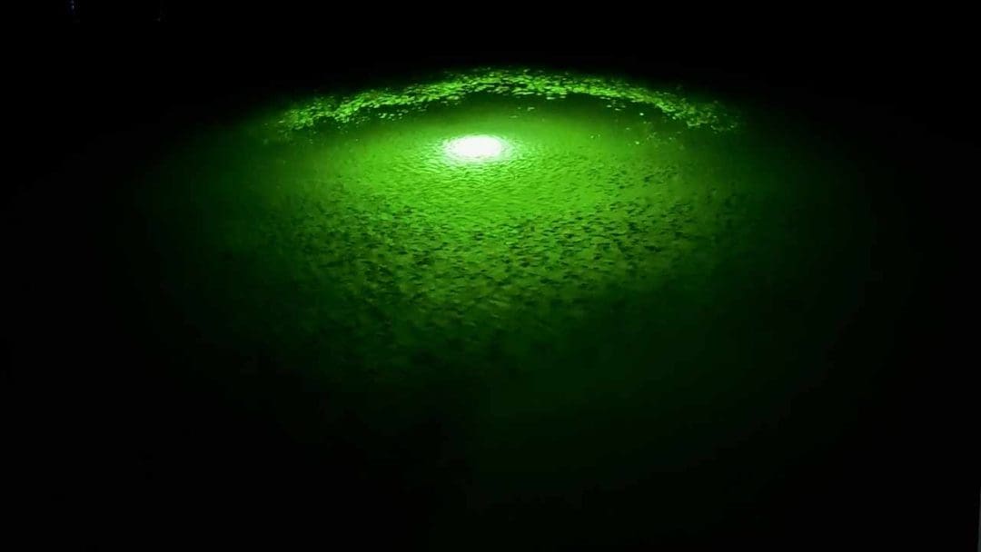pesca nocturna luces del muelle costa del golfo pesca costera en agua salada