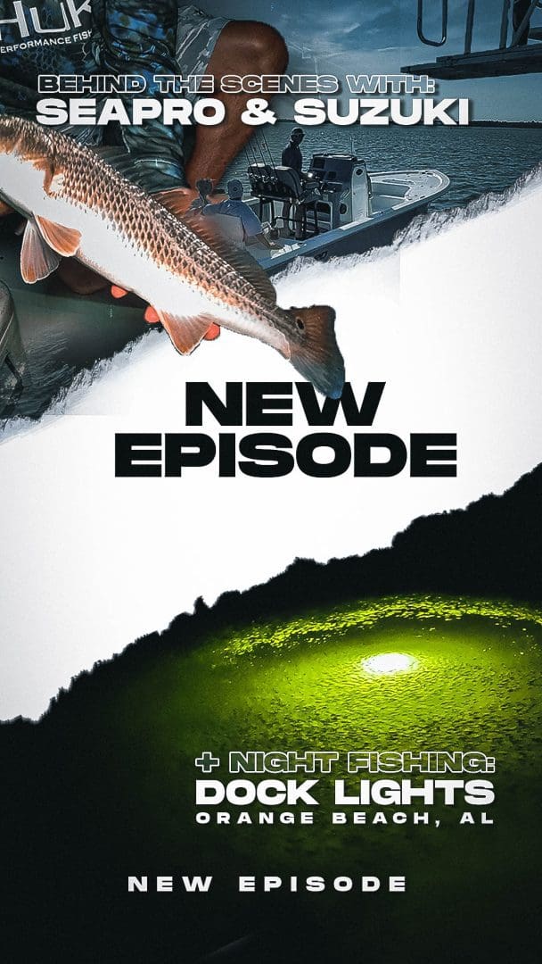 night_fishing_for_redfish_dock_lights_gulf_coast-1