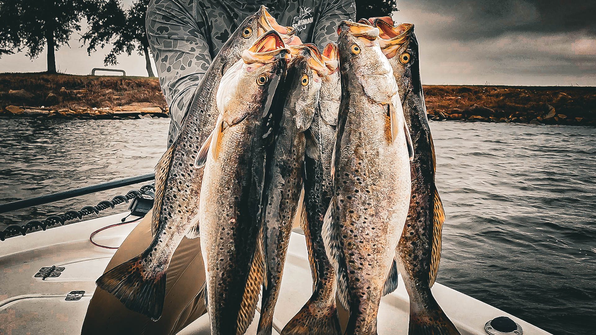 pesca noturna de cantarilho luzes doca costa do golfo 14